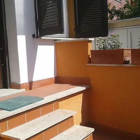 Ibiscus Roma